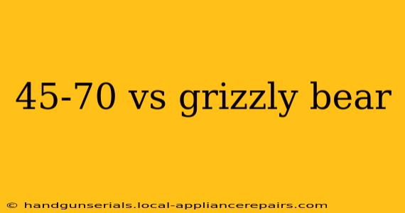 45-70 vs grizzly bear