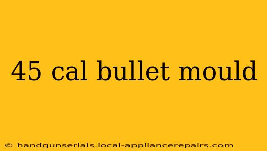 45 cal bullet mould