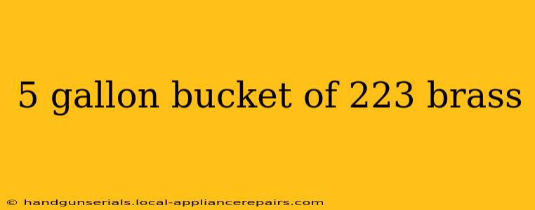 5 gallon bucket of 223 brass