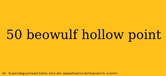 50 beowulf hollow point