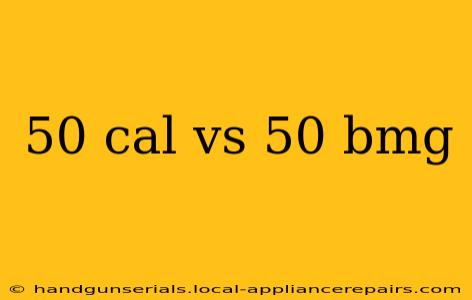 50 cal vs 50 bmg