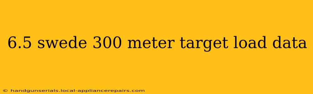 6.5 swede 300 meter target load data