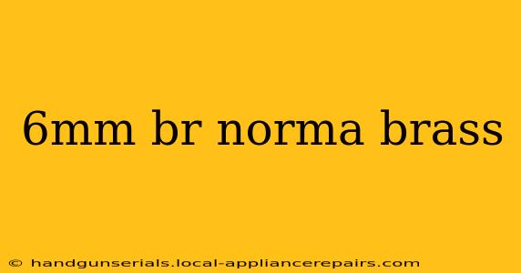 6mm br norma brass