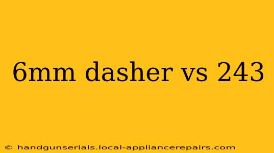 6mm dasher vs 243