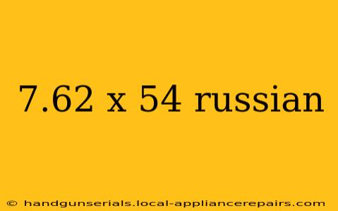 7.62 x 54 russian