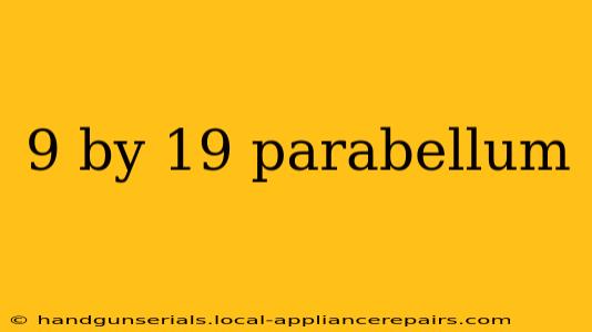 9 by 19 parabellum