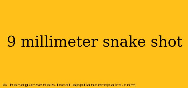 9 millimeter snake shot