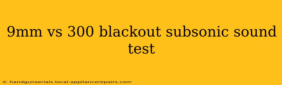 9mm vs 300 blackout subsonic sound test