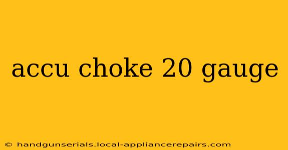 accu choke 20 gauge