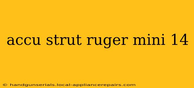 accu strut ruger mini 14