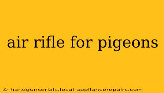 air rifle for pigeons