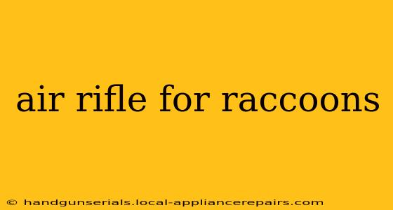 air rifle for raccoons