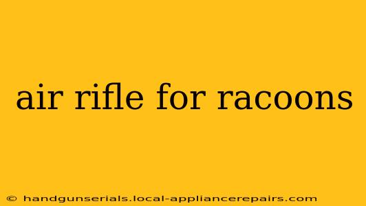 air rifle for racoons