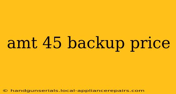 amt 45 backup price