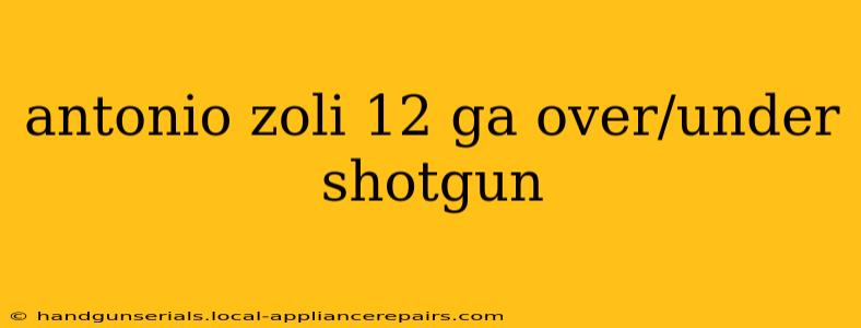 antonio zoli 12 ga over/under shotgun