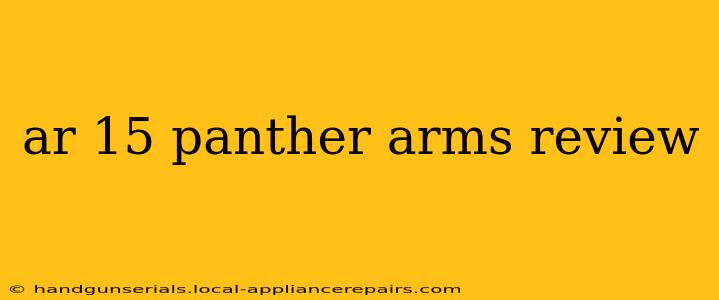 ar 15 panther arms review