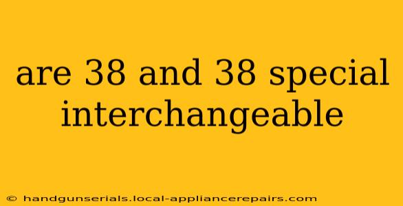 are 38 and 38 special interchangeable