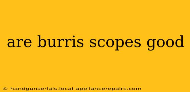 are burris scopes good