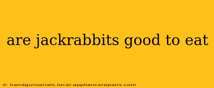 are jackrabbits good to eat