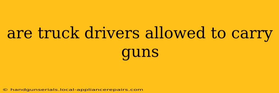 are truck drivers allowed to carry guns