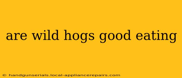 are wild hogs good eating