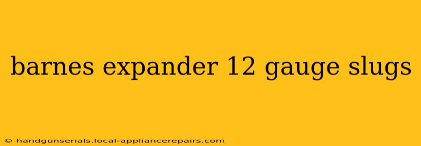 barnes expander 12 gauge slugs