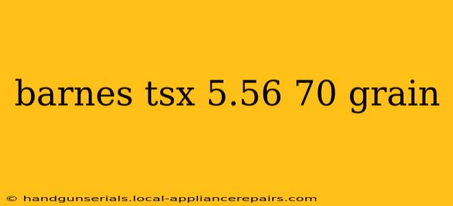 barnes tsx 5.56 70 grain