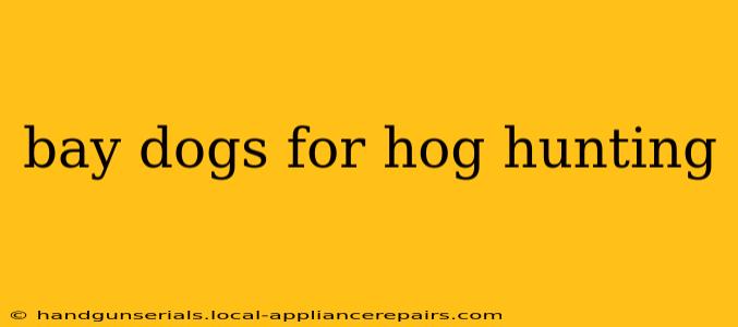 bay dogs for hog hunting