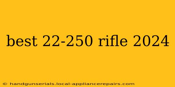 best 22-250 rifle 2024