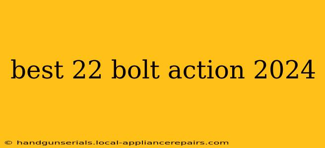 best 22 bolt action 2024