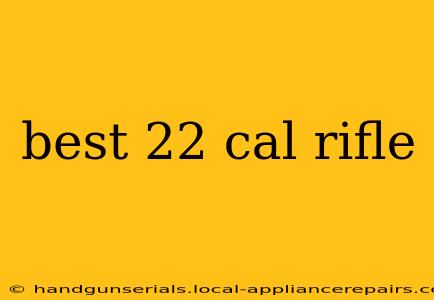 best 22 cal rifle