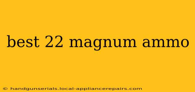 best 22 magnum ammo