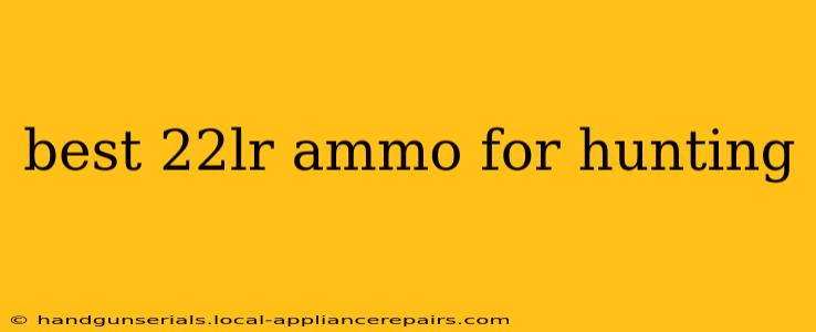 best 22lr ammo for hunting