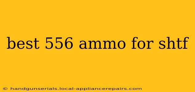 best 556 ammo for shtf