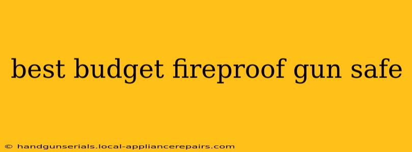 best budget fireproof gun safe