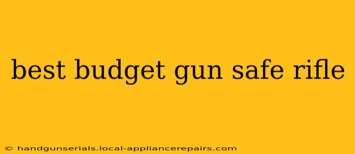 best budget gun safe rifle