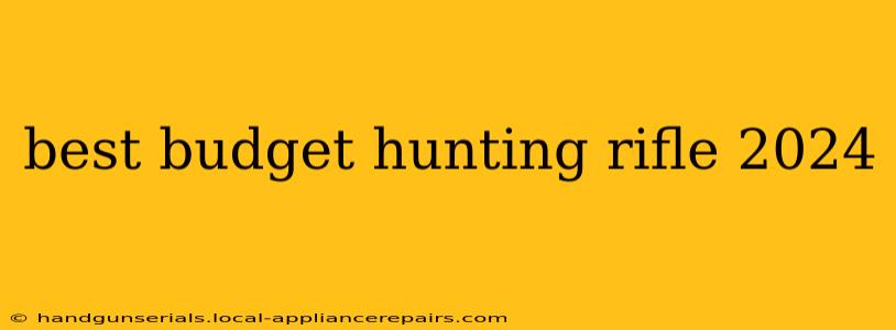 best budget hunting rifle 2024