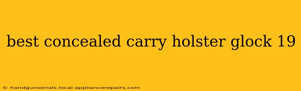 best concealed carry holster glock 19