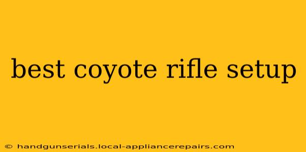 best coyote rifle setup