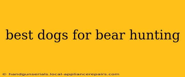 best dogs for bear hunting