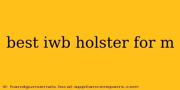 best iwb holster for m