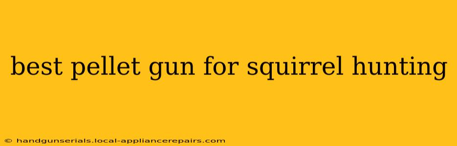 best pellet gun for squirrel hunting