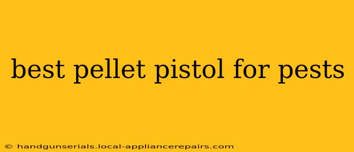 best pellet pistol for pests