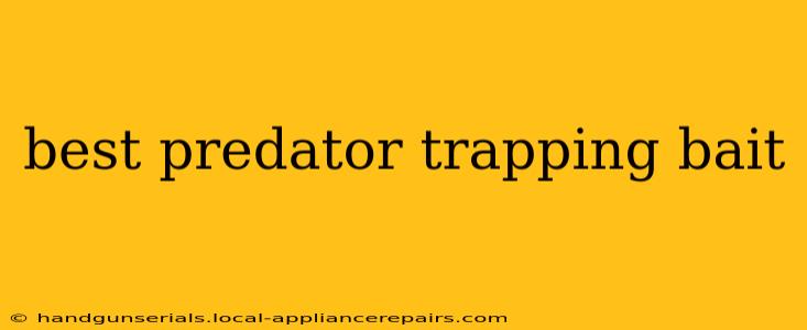 best predator trapping bait