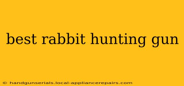 best rabbit hunting gun