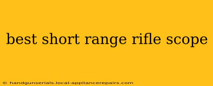 best short range rifle scope