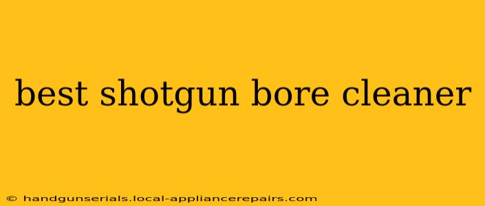 best shotgun bore cleaner