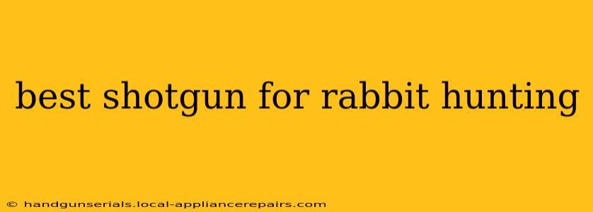 best shotgun for rabbit hunting