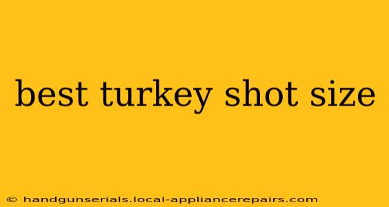 best turkey shot size