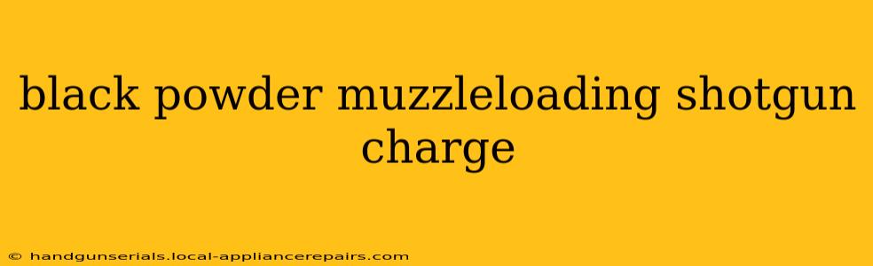 black powder muzzleloading shotgun charge